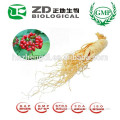 Herbal Food Supplement Ginseng Extract in Herbal Extract 98% Ginsenosides